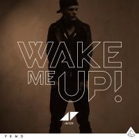 Wake me up [Avicii]