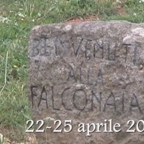 2006-04-00-la-falconaia