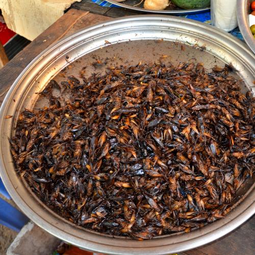 2016-12-29-battambang-2524-food