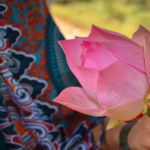 2016-12-30-battambang-2634-flowers