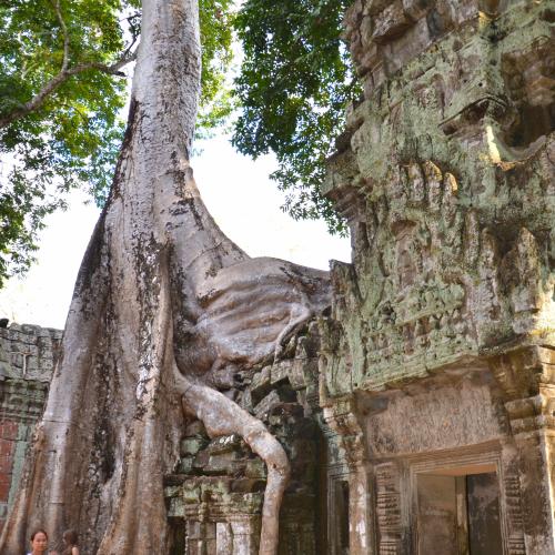 2017-01-01-siem-reap-angkor-3107-monuments