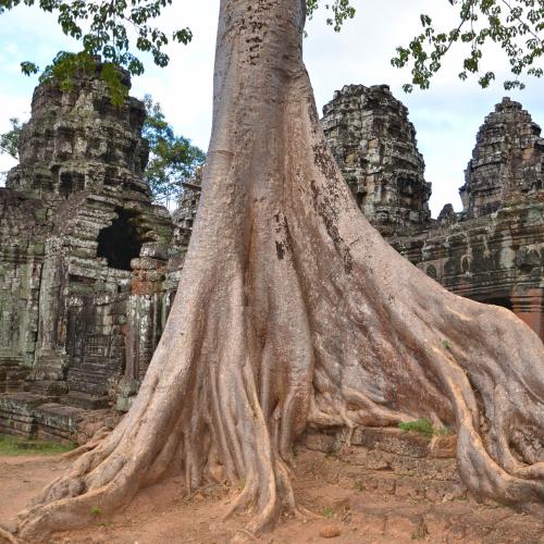 2017-01-01-siem-reap-angkor-3133-monuments