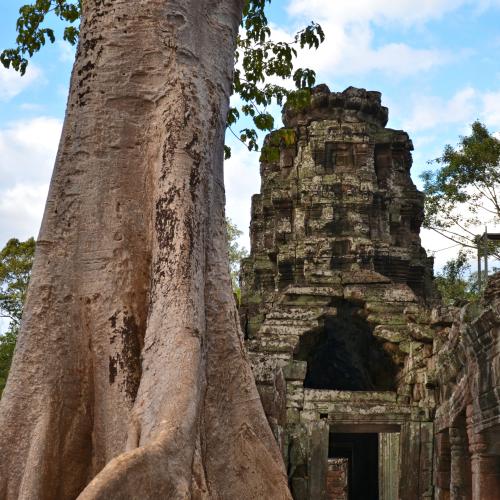2017-01-01-siem-reap-angkor-3132-monuments