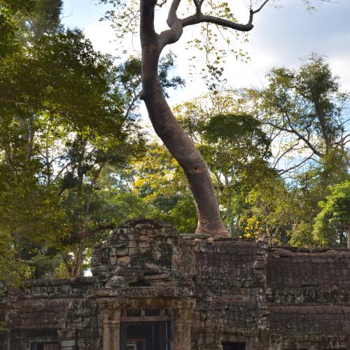 2017-01-01-siem-reap-angkor-3112-monuments