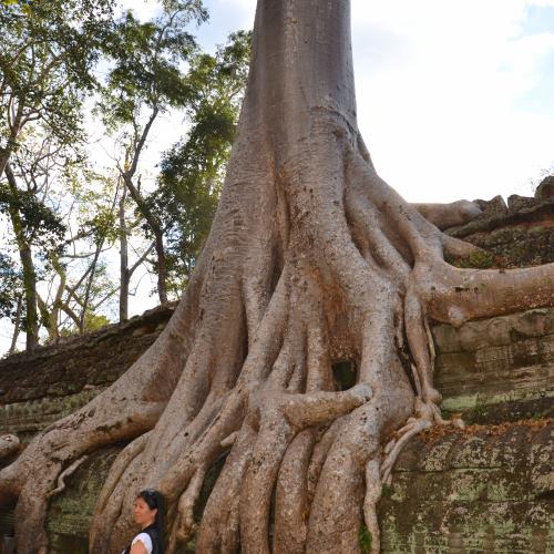 2017-01-01-siem-reap-angkor-3099-monument